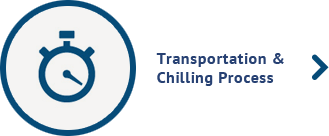 transportation process